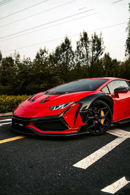 580ランボルギーニ カーボンファイバー ボディキット DWスタイル Lp610 ボディキット スポイラー ワイドボディキット